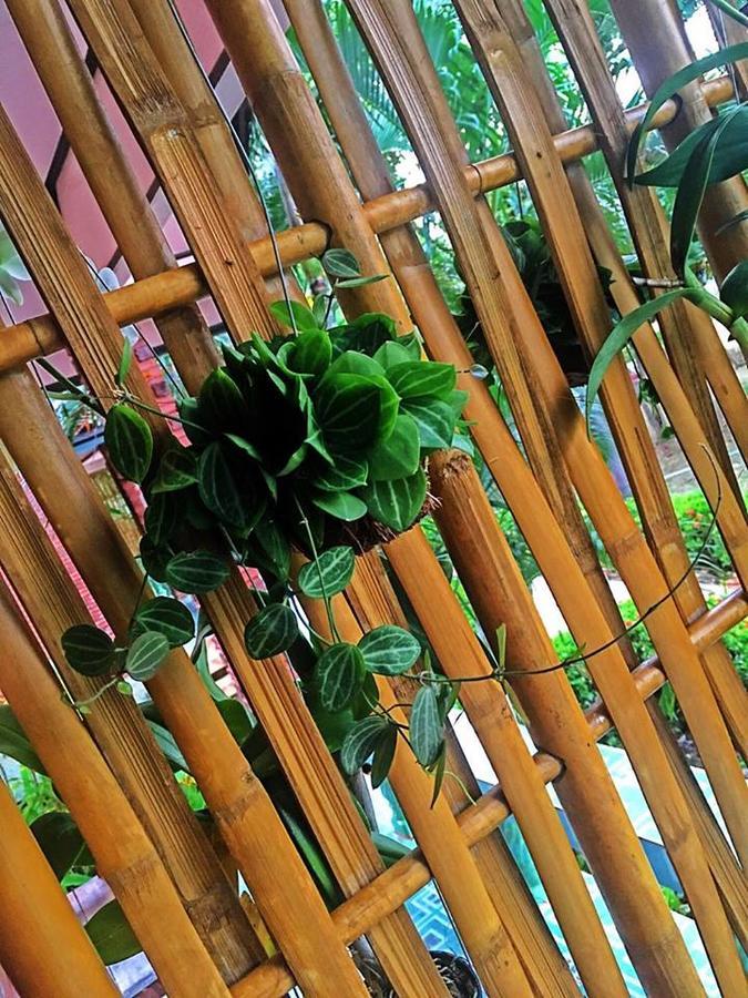 Lanta Queen Resort Koh Lanta Luaran gambar